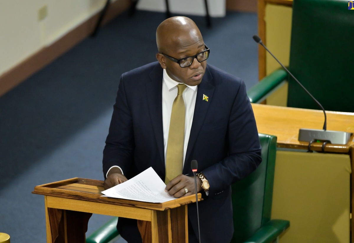 Minister of Labour and Social Security, Hon. Pearnel Charles Jr.

