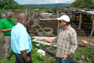 Minister of State, Ministry of Agriculture, Fisheries and Mining, Hon. Franklin Witter (centre), engages with dairy farmer, Noel Arscott (right), during a recent tour of his farm in Rhymesbury, Clarendon. At left is Managing Director, Agro-Investment Corporation, Vivion Scully.