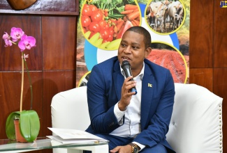 Minister of Agriculture, Fisheries and Mining, Hon. Floyd Green, speaks to Reporters at a post-Sectoral Media Briefing,  held at Jamaica House on May 22.

