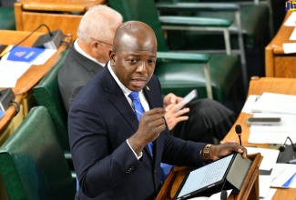 Minister of Labour and Social Security, Hon. Pearnel Charles Jr., makes his contribution to the 2024/25 Sectoral Debate in the House of Representatives on Wednesday (May 29).