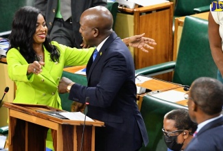 Minister of Labour and Social Security, Hon. Pearnel Charles Jr. (right), is greeted by his sister and Member of Parliament for St. Thomas Eastern, Dr. Michelle Charles, following his contribution to the 2024/25 Sectoral Debate in the House of Representatives on Wednesday (May 29).