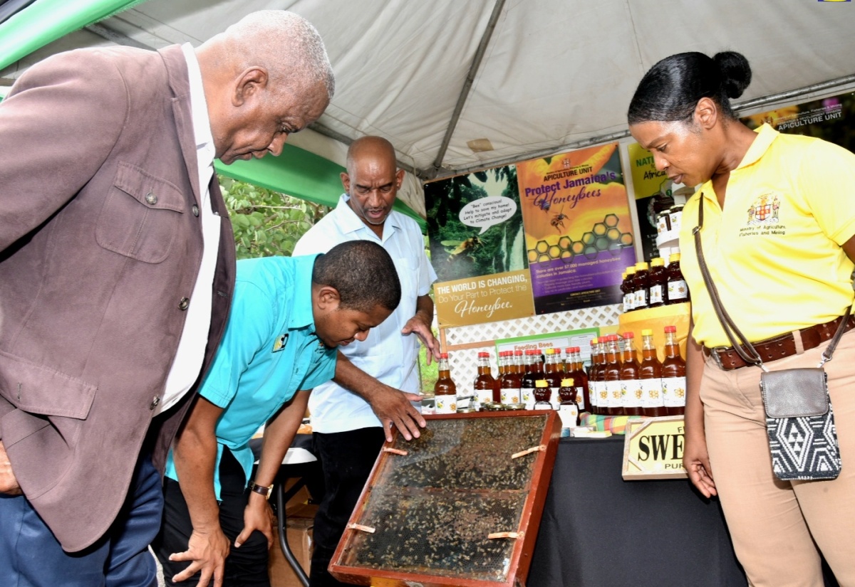 Minister of Agriculture, Fisheries and Mining, Hon. Floyd Green (second left), along with State Minister, Hon. Fraklin Witter (left), view a display being shown to them by Chief Plant Protection Officer, Bodles Research Station, Hugh Smith, during a World Bee Day observance event on Thursday (May 30). The event was held at the Bodles Station in St. Catherine. At right is Principal Research Director, Bodles Research Station, Carla Douglas.