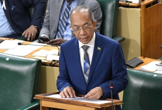 Minister of National Security and Deputy Prime Minister, Hon. Dr. Horace Chang.