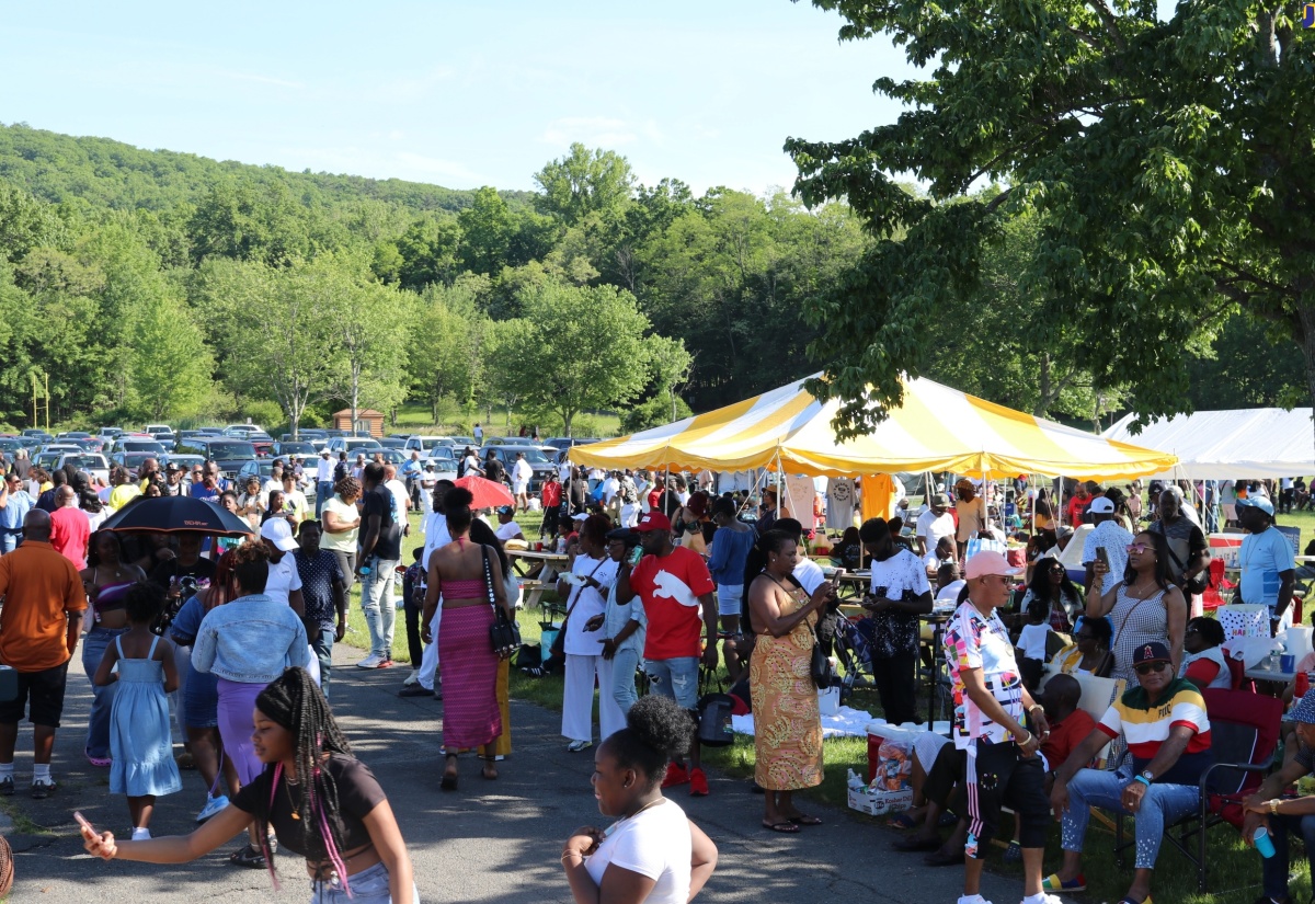 The large gathering at last year’s Trelawny picnic held at the Rockland County State Park in Nyack, New York.

