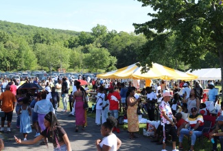 The large gathering at last year’s Trelawny picnic held at the Rockland County State Park in Nyack, New York.

