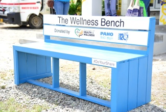 A wellness bench was unveiled at an opening ceremony in June 2023. 