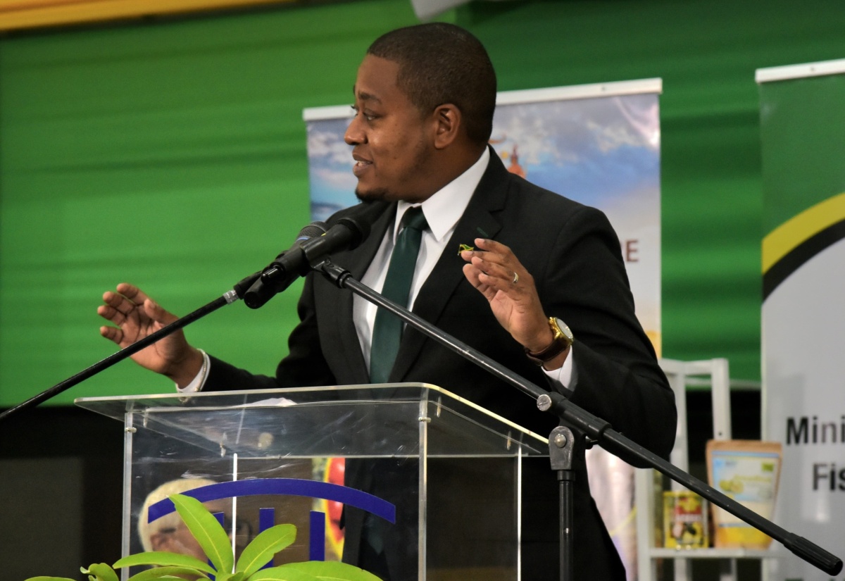 Minister of Agriculture, Fisheries and Mining, Hon. Floyd Green, addresses the launch of the Eat Jamaican Global Campaign on June 18, at the 10th Biennial Jamaica Diaspora Conference, being held at the Montego Bay Convention Centre in Rose Hall, St. James. 

