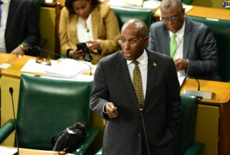 Minister of Industry, Investment and Commerce, Senator the Hon. Aubyn Hill, addresses members during Friday’s (June 28) Senate sitting at Gordon House.