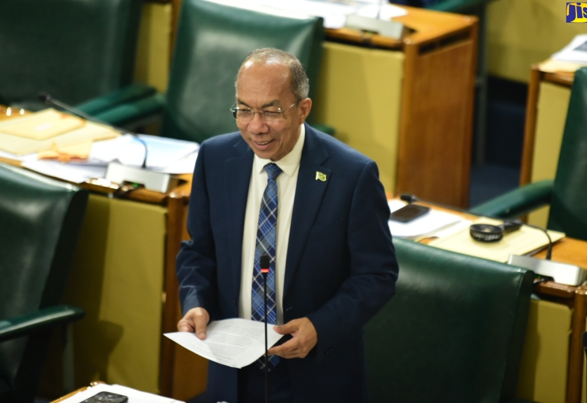 Deputy Prime Minister and Minister of National Security, Hon. Dr. Horace Chang, addresses the House of Representatives on June 11.