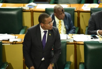 Minister of Agriculture, Fisheries and Mining, Hon. Floyd Green, addresses the House of Representatives on Tuesday (June 11).