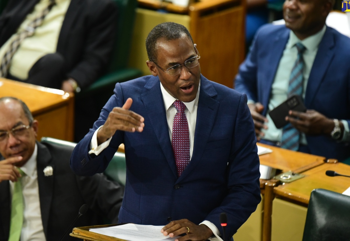 Minister of Finance and the Public Service, Dr. the Hon. Nigel Clarke, speaks in the House of Representatives recently.

