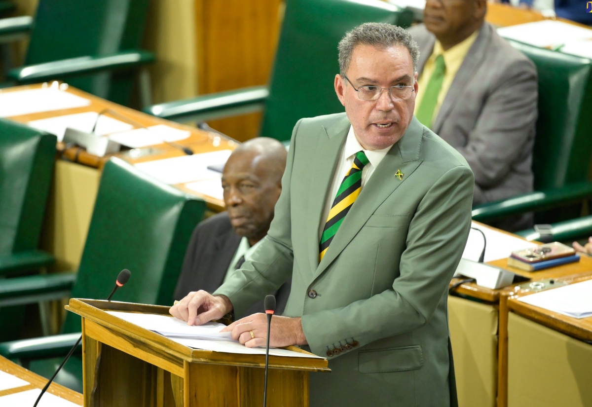 Minister of Science, Energy, Telecommunications and Transport, Hon. Daryl Vaz, makes his contribution to the 2024 Sectoral Debate in the House of Representatives on Tuesday (June 4).


