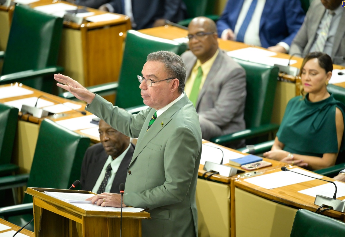 Minister of Science, Energy, Telecommunications and Transport, Hon. Daryl Vaz, makes his contribution to the 2024/25 Sectoral Debate in the House of Representatives, on Tuesday (June 4).