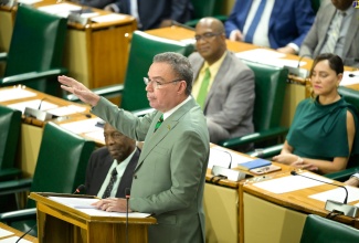 Minister of Science, Energy, Telecommunications and Transport, Hon. Daryl Vaz, makes his contribution to the 2024/25 Sectoral Debate in the House of Representatives, on Tuesday (June 4).