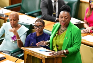 Minister of Culture, Gender, Entertainment and Sports, Hon. Olivia Grange, makes her contribution to the 2024/25 Sectoral Debate in the House of Representatives, on June 25.