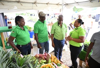 State Minister in the Ministry of Agriculture, Fisheries and Mining, Hon. Franklin Witter (second from right), listens to Acting Regional Manager for Jamaica 4-H Clubs Western Region, Natanish Hinds (right), during a tour of booths at the Westmoreland Agricultural Show held at Bay Road Sports Complex in Little London on Sunday, June 2. Looking on are Regional Home Economics Specialist for Jamaica 4-H Clubs Western Region, Claudia Elvey (left), and Chief Technical Director in the Ministry of Agriculture, Fisheries and Mining, Orville Palmer.

