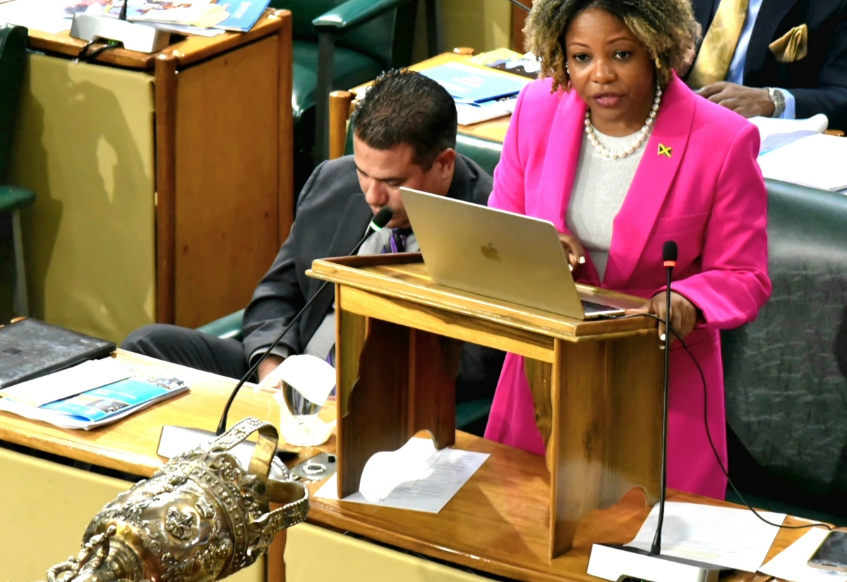 Minister without Portfolio in the Office of the Prime Minister with responsibility for Information, Skills and Digital Transformation, Senator Dr. the Hon. Dana Morris Dixon, addresses the Senate on Friday (May 31).