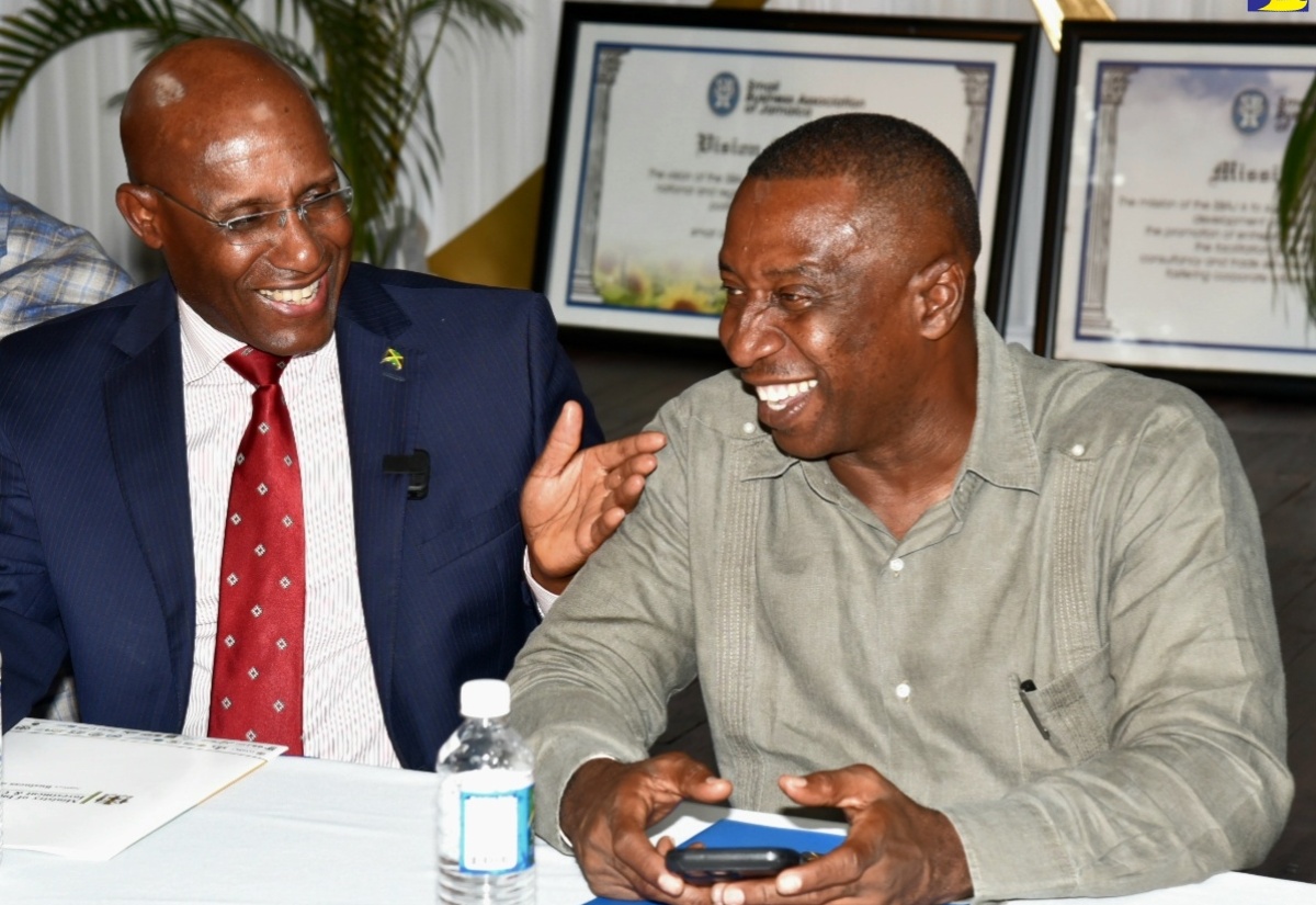 Minister of Industry, Investment and Commerce, Senator the Hon. Aubyn Hill (left), shares pleasantries with Mayor of Kingston, Councillor Andrew Swaby, during the Small Business Association of Jamaica (SBAJ) Biz Social at the Liguanea Club in New Kingston on May 31. Senator Hill delivered the keynote address on the topic ‘Roadmap to Business Growth’. The Biz Social was held under the theme ‘Grow Your Business Through Networking’.

