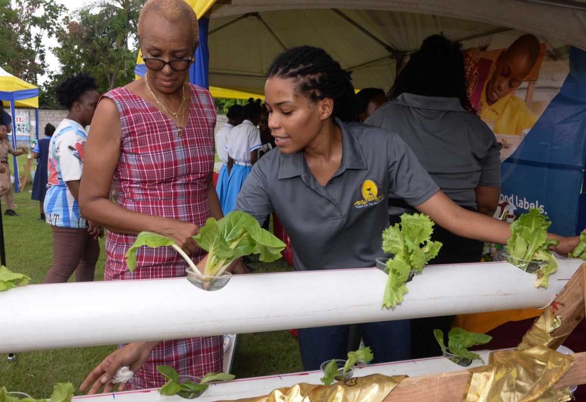 PHOTOS: Minister Williams Tours National School Garden Project Exhibition