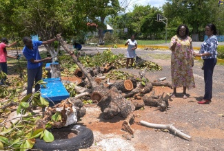 Principal of the Toll Gate Primary School, Rev. Carol Brown-Clarke (second right), makes a point to Education Officer at the Ministry of Education and Youth, Raquel Ranger Cowan (right), during the removal of debris from the school, on July 9.