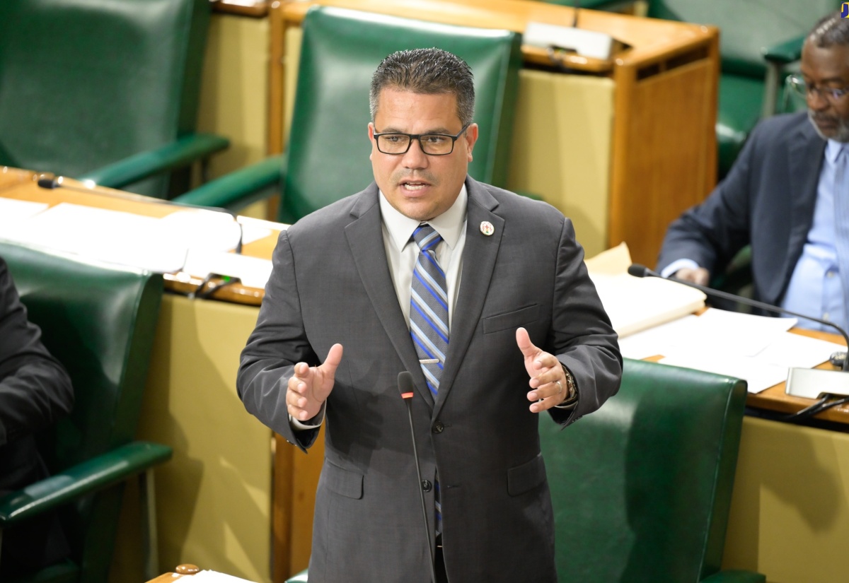 Minister without Portfolio in the Ministry of Economic Growth and Job Creation, Senator the Hon. Matthew Samuda, addressing Friday’s (July 19) sitting of the Senate at Gordon House.