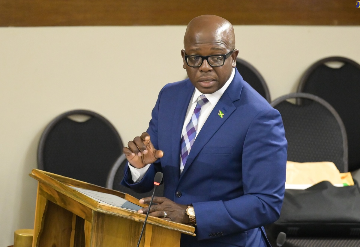 Minister of Labour and Social Security, Hon. Pearnel Charles Jr., makes Statement in the House of Representatives on Tuesday (July 23).

