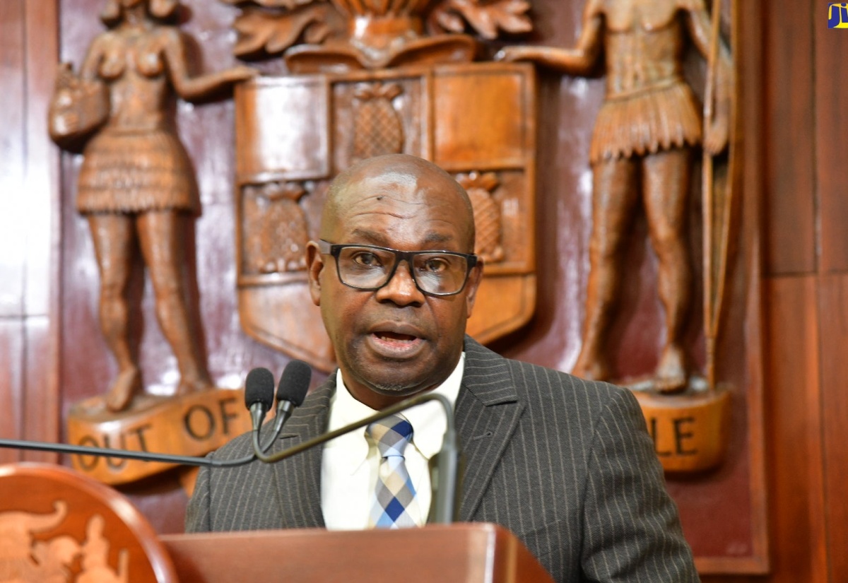 Director General of the Office of Utilities Regulation (OUR), Ansord Hewitt, addresses the post-Cabinet press briefing, held at Jamaica House on Wednesday (July 31).