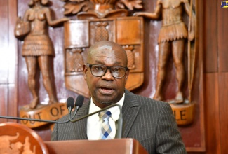 Director General of the Office of Utilities Regulation (OUR), Ansord Hewitt, addresses the post-Cabinet press briefing, held at Jamaica House on Wednesday (July 31).