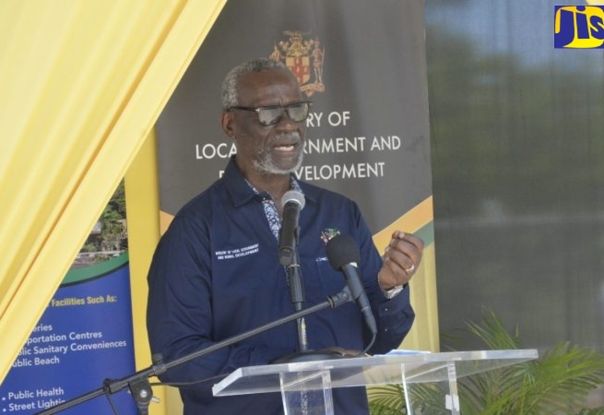 Minister of Local Government and Community Development, Hon. Desmond McKenzie. 

