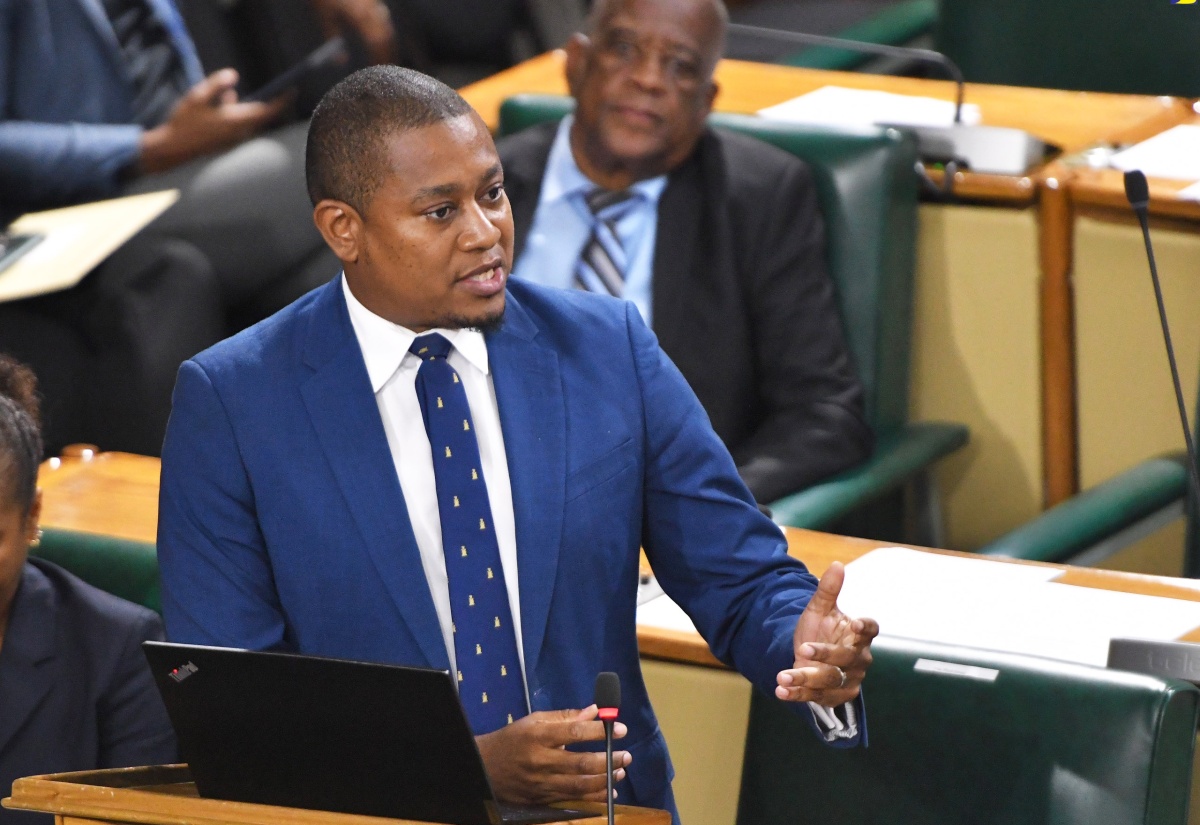 Minister of Agriculture, Fisheries and Mining, Hon. Floyd Green, makes a statement in the House of Representatives on Tuesday (July 16).

