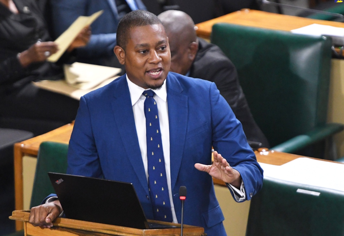 Minister of Agriculture, Fisheries and Mining, Hon. Floyd Green, makes a statement in the House of Representatives on July 16.

