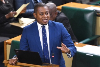 Minister of Agriculture, Fisheries and Mining, Hon. Floyd Green, makes a statement in the House of Representatives on July 16.

