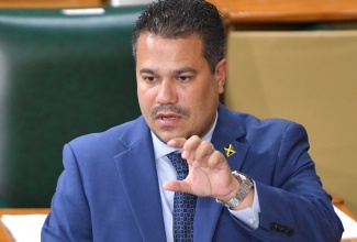 Minister without Portfolio in the Ministry of Economic Growth and Job Creation, Senator the Hon. Matthew Samuda, addressing the recent sitting of the Senate.

