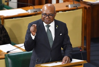 Minister of Tourism and Leader of Government Business, Hon. Edmund Bartlett, speaks in the House of Representatives, on July 23.