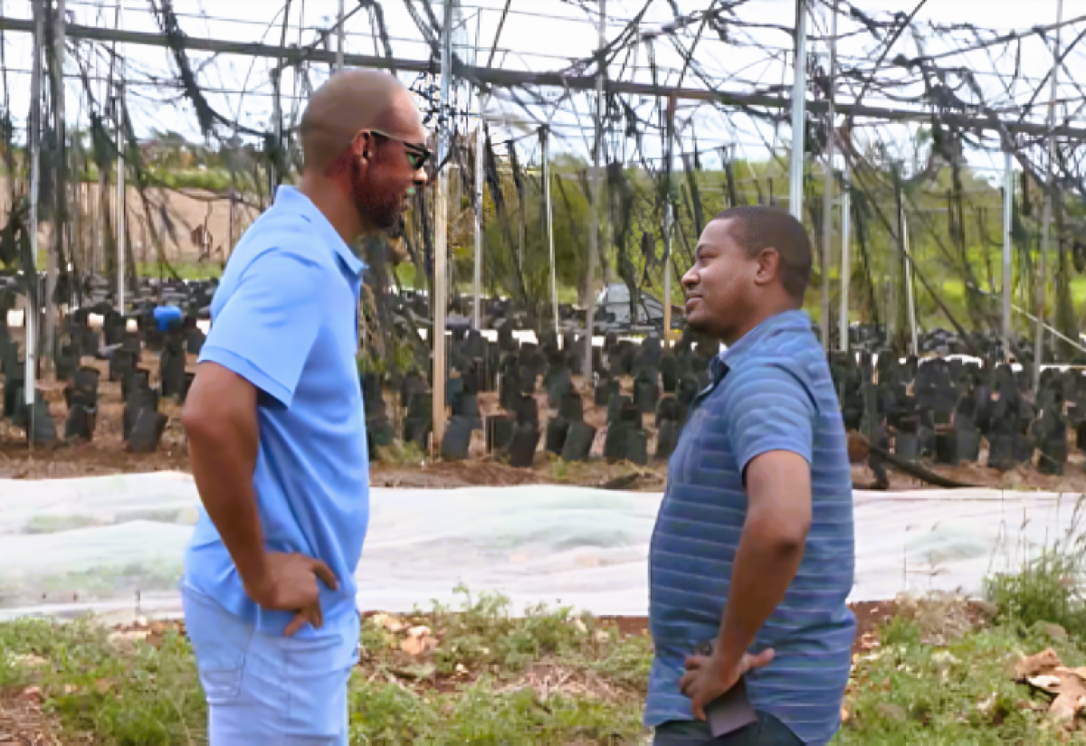 Minister of Agriculture, Fisheries and Mining, Hon. Floyd Green (right), speaks to St. Elizabeth greenhouse farmer, Vaughn Ebanks about the damage to his farm in the aftermath of Hurricane Beryl. Occasion was an assessment tour of farms in the parish on Saturday (July 6).