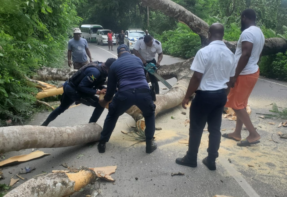 A section of the John’s Hall main road in St James being cleared by policemen and residents, following the passage of Hurricane Beryl.

