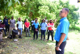 Director, Agribusiness Market Distribution and Logistics, Ministry of Agriculture, Fisheries and Mining, Krishna Badaloo (right), addresses a fruit tree resuscitation training session in Yallahs, St. Thomas, on Wednesday (August 28).

