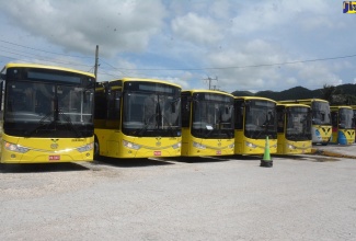 Several of the eight new buses which were handed over to the Montego Bay Metro Company Limited on Thursday (August 22) at Bogue Industrial Estate in St James, to enhance service delivery to students and general commuters.