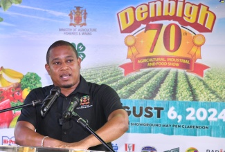 Minister of Agriculture, Fisheries and Mining, Hon. Floyd Green, brings remarks at the Denbigh Agricultural, Industrial and Food Show, May Pen, Clarendon, on August 6.