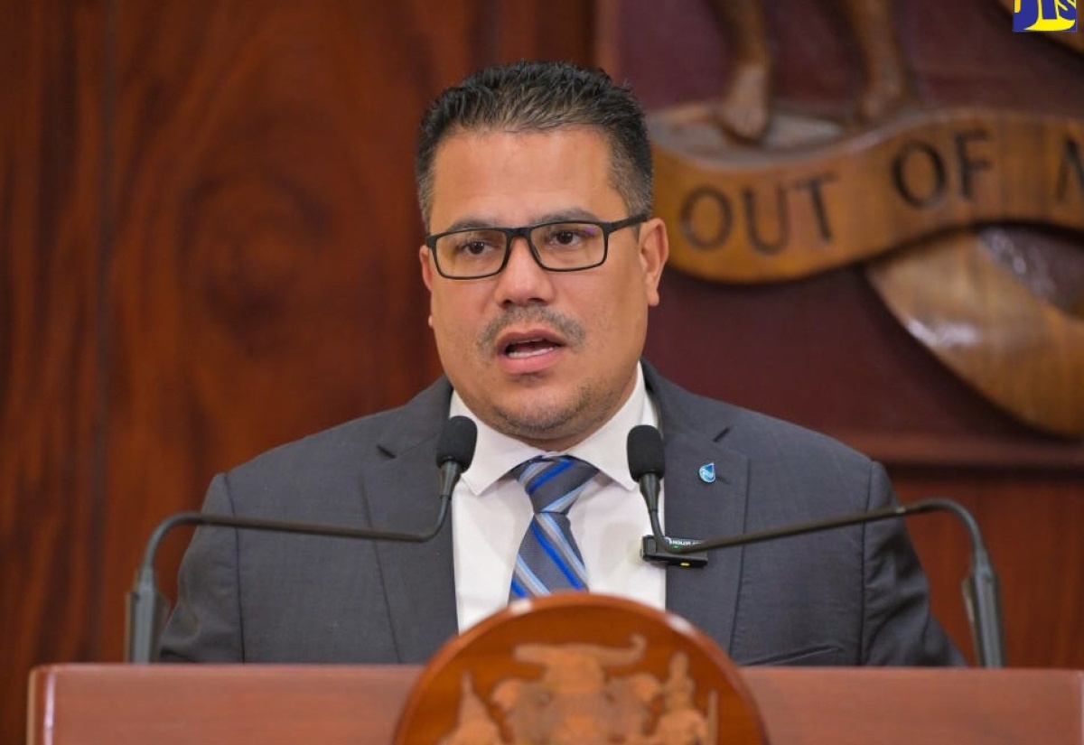 Minister without Portfolio in the Ministry of Economic Growth and Job Creation, Senator the Hon. Matthew Samuda.

