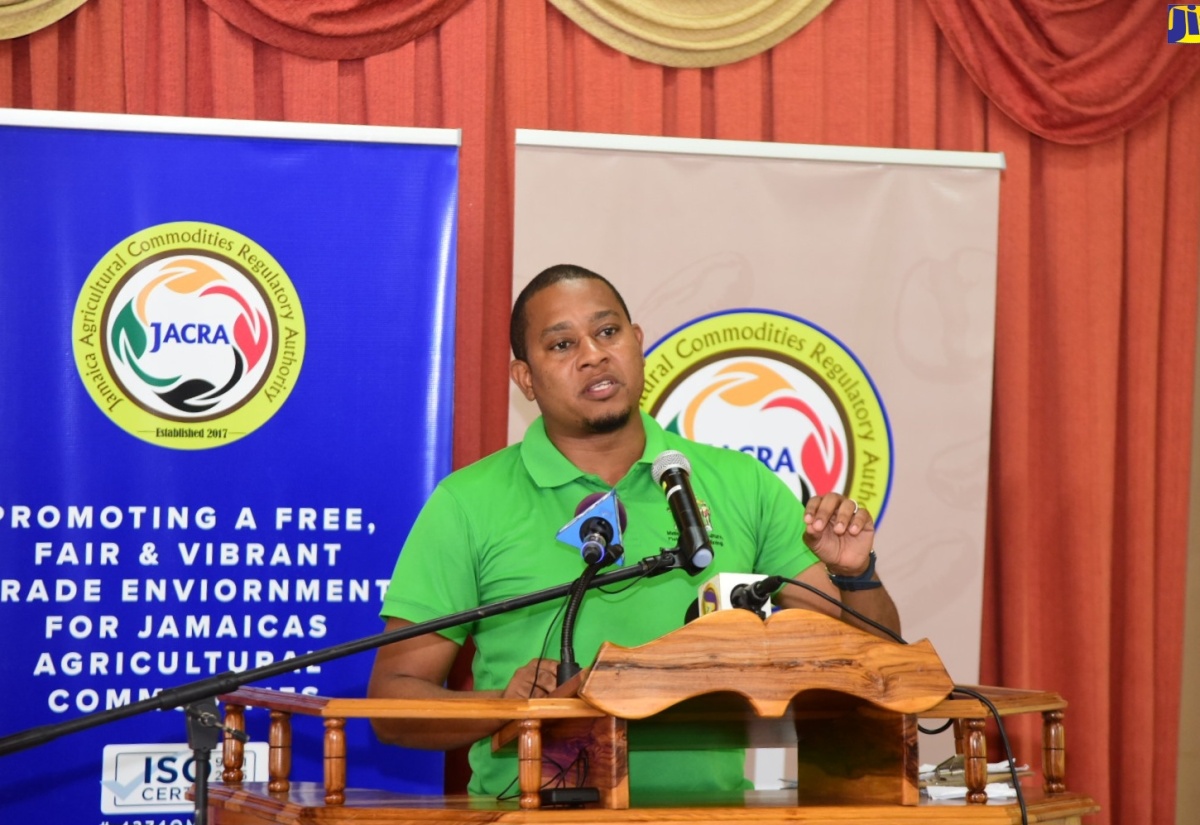 Minister of Agriculture, Fisheries and Mining, Hon. Floyd Green, delivers the keynote address during a handover ceremony for input supplies to Buff Bay Valley coffee farmers at the Bangor Ridge Church of God of Prophecy on September 11.

