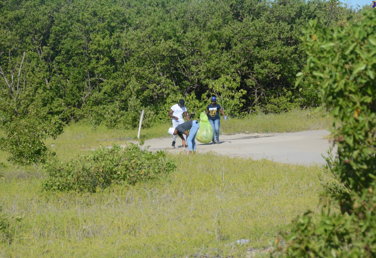 Scores of Volunteers Turn Out for ICC Day