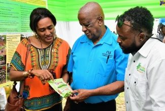 Minister of State in the Ministry of Agriculture, Fisheries and Mining, Hon. Franklin Witter (centre), examines a package of coconut flour that was on display at the Coconut Industry Board (CIB) complex in Kingston on Saturday (August 31). The occasion was an event in celebration of World Coconut Day. With him (from left) are Caribbean Agricultural Research and Development Institute (CARDI) Representative in Jamaica, Dionne Clarke Harris, and CIB General Manager, Shaun Cameron.

