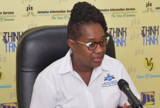 Executive Director of the Jamaica Council for Persons with Disabilities (JCPD), Dr. Christine Hendricks, speaks at a recent Jamaica Information Service (JIS)  ‘Think Tank’.

