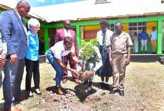 State Minister in the Ministry of National Security, Hon. Juliet Cuthbert Flynn (third left), is assisted in planting a tree during Friday’s (September 20) launch of the Peace Gardens in Schools Competition, at Kingston High School. The initiative is a collaboration between the Ministry of Education and Youth and the Violence Prevention Alliance (VPA). Observing (from left) are Director of Safety and Security in Schools, Ministry of Education and Youth, Richard Troupe; Chair, Violence Prevention Alliance, Dr. Elizabeth Ward; and Kingston High School Principal, Jermaine Luten, and students, Amoy Gibbs and D'Andre Burke. 