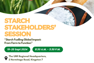 Official flyer for the Bureau of Standard Jamaica (BSJ) Starch Stakeholders’ session.

