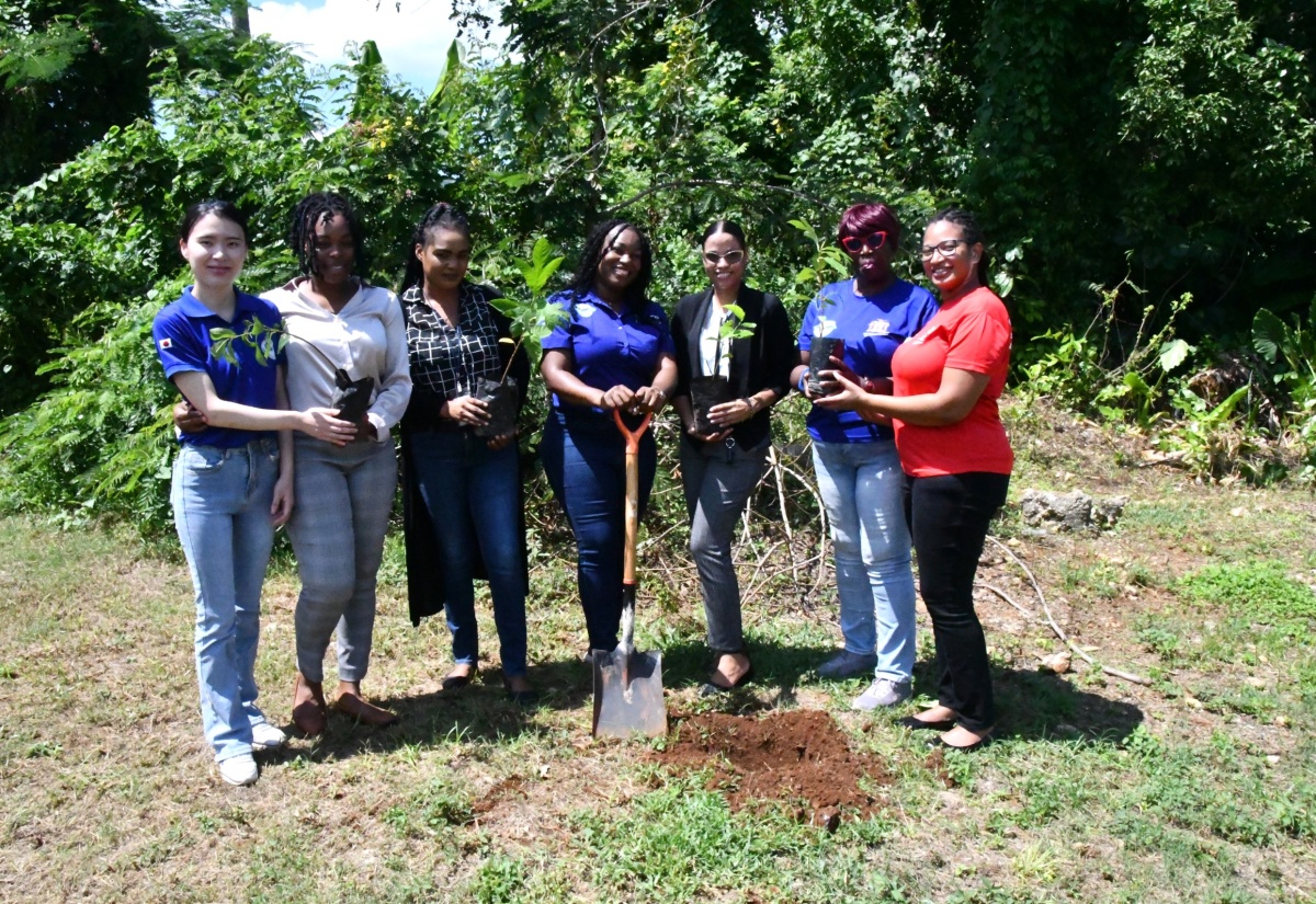 Bureau of Gender Affairs Plants Trees at Women’s Centre in Santa Cruz