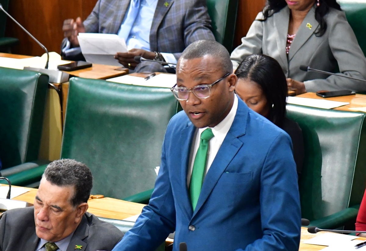 Member of Parliament Renews Call For Animal Pound In Westmoreland