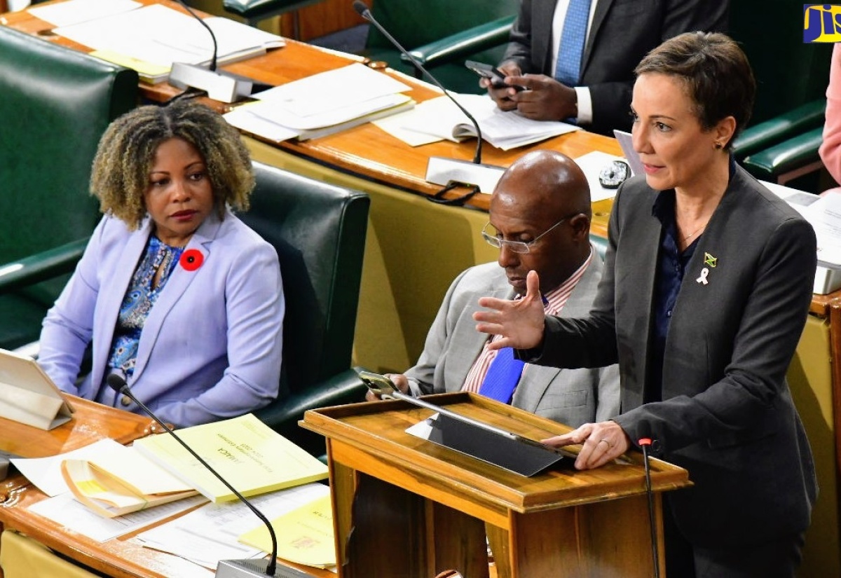 Gov’t Adhering To Jamaica’s Refugee Policy – Minister Johnson Smith