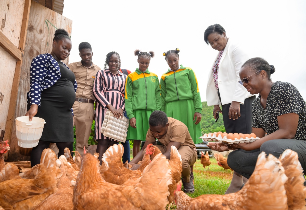 Winston Jones High School’s Vibrant Agriculture Programme